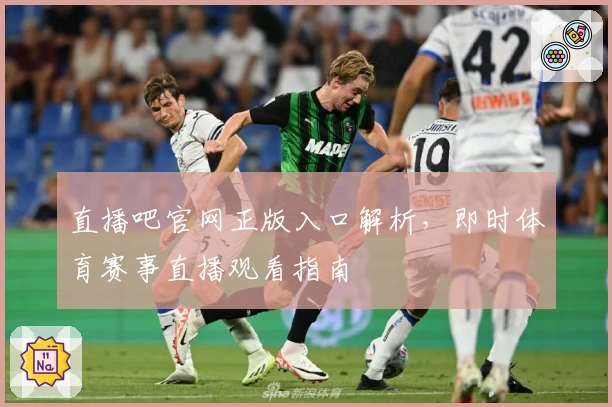 直播吧官网正版入口解析，即时体育赛事直播观看指南