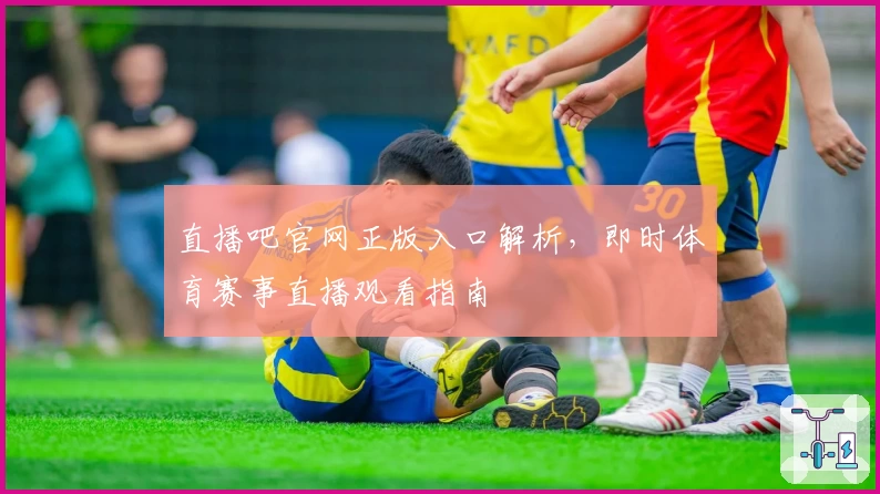 直播吧官网正版入口解析，即时体育赛事直播观看指南